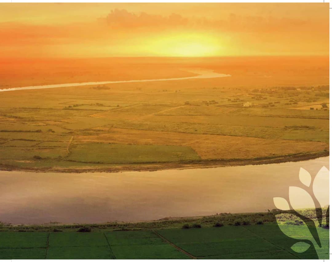 ATS Pious Orchards Sector 150 Noida — Yamuna riverfront and green floodplain views